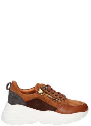 Cycleur de Luxe