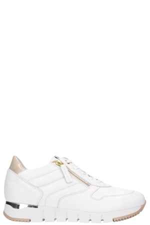 DL-Sport 5236 versione 09 wit logic burro