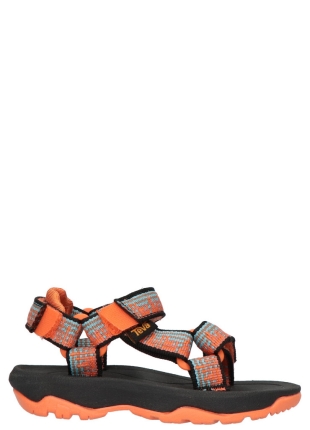 Teva