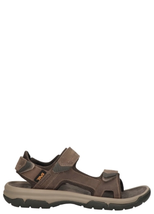 Teva