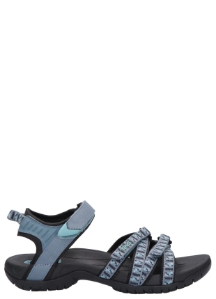 Teva
