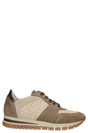 DL-Sport 5442 Versione 04 beige Sport torba combi