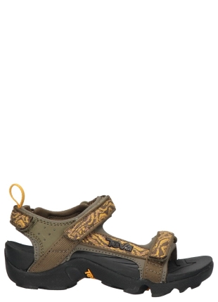 Teva