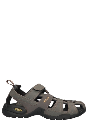 Teva