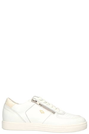 Aqa A8531 A11D29 wit A11D29 VELVET opt. white Aqa A8531 A11D29 wit A11D29 VELVET opt. white