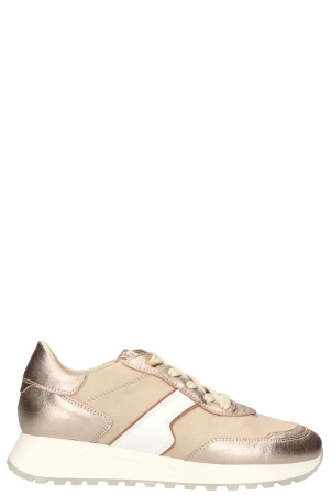 DL-Sport 6203 Versione 03 goud marsala platino