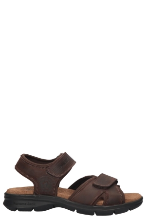 Panama Jack Sanders Basics C1 bruin C1 Napa Grass Marron/Brown Panama Jack Sanders Basics C1 bruin C1 Napa Grass Marron/Brown