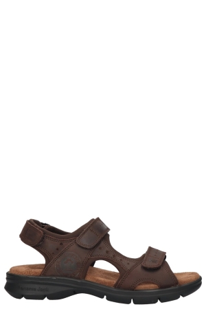 Panama Jack Salton Basics C1 bruin C1 Napa Grass Marron/Brown Panama Jack Salton Basics C1 bruin C1 Napa Grass Marron/Brown