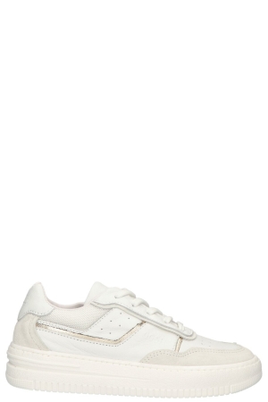 Giga G4270 B45A11 wit B45A11 Condor Argento