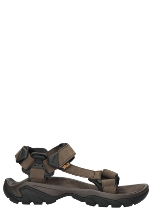 Teva