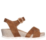 Kleur Cognac