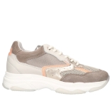 Kleur Grijs