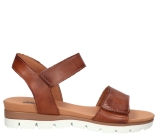 Kleur Cognac