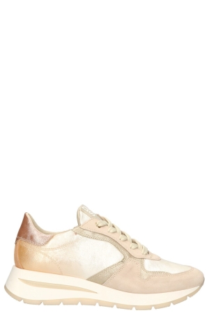 DL-Sport 6562 versione 02 beige velour sheer dubai bianco