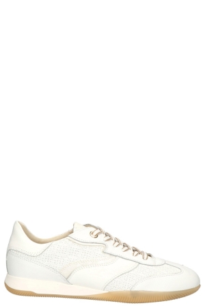 DL-Sport 6572 versione 03 wit alpina bianco matrix bianco