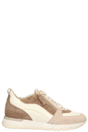 DL-Sport 6523 versione 01 beige velour sheer alpina burro