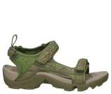 Kleur Groen