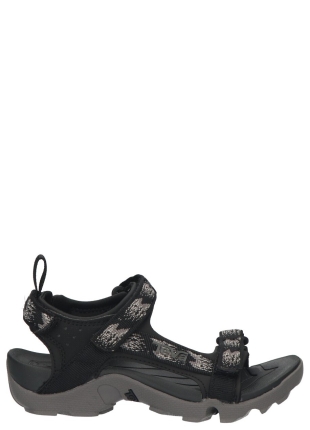 Teva