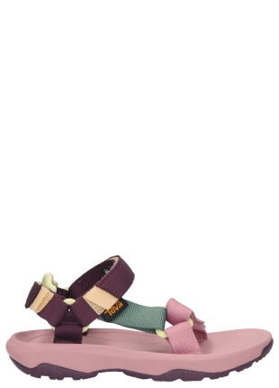 Teva