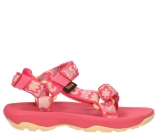 Kleur Roze