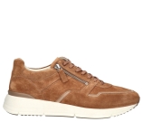 Kleur Cognac