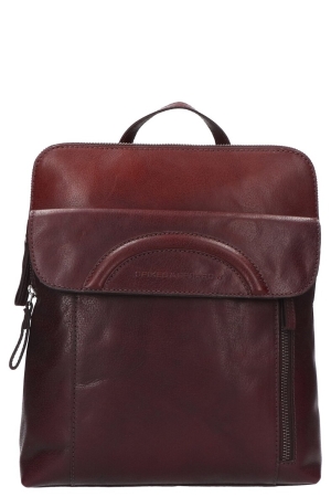 Spikes & Sparrow 50513001 Brown bruin Brown Spikes & Sparrow 50513001 Brown bruin Brown