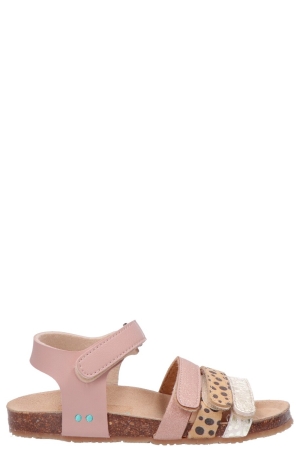 Bunnies JR 225415 774 Babs beach rose Rose