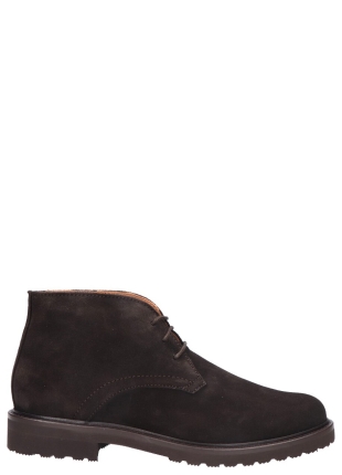 Greve