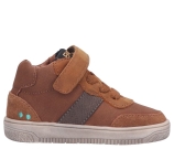 Kleur Cognac