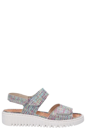 Waldlaufer 955001 105 299 H-willow meerkleurig 105 299 multi