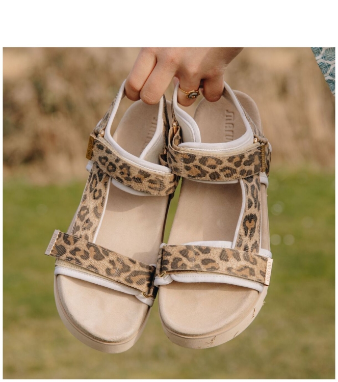 Maruti Maruti sandaal <span>66.1653.01 DJN Beau</span> DJN leopard brown Maruti sandaal <span>66.1653.01 DJN Beau</span> 66.1653.01 DJN Beau cognac - www.bremmerschoenen.nl - Bremmer Schoenen