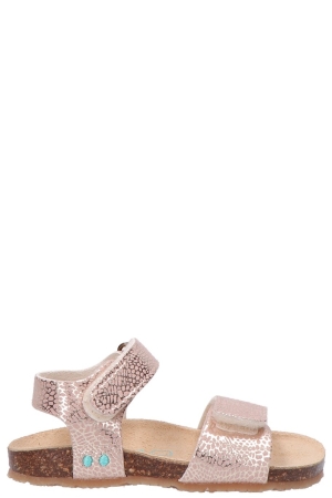 Bunnies JR 226408 774 Bimi Beach goud 774-Blush Bunnies JR 226408 774 Bimi Beach goud 774-Blush
