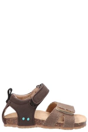 Bunnies JR 226403 717 Brad Beach bruin 717 Dark brown