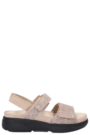Xsensible 30700.5 446 Aruba G-H beige 446 Sand Fantasy