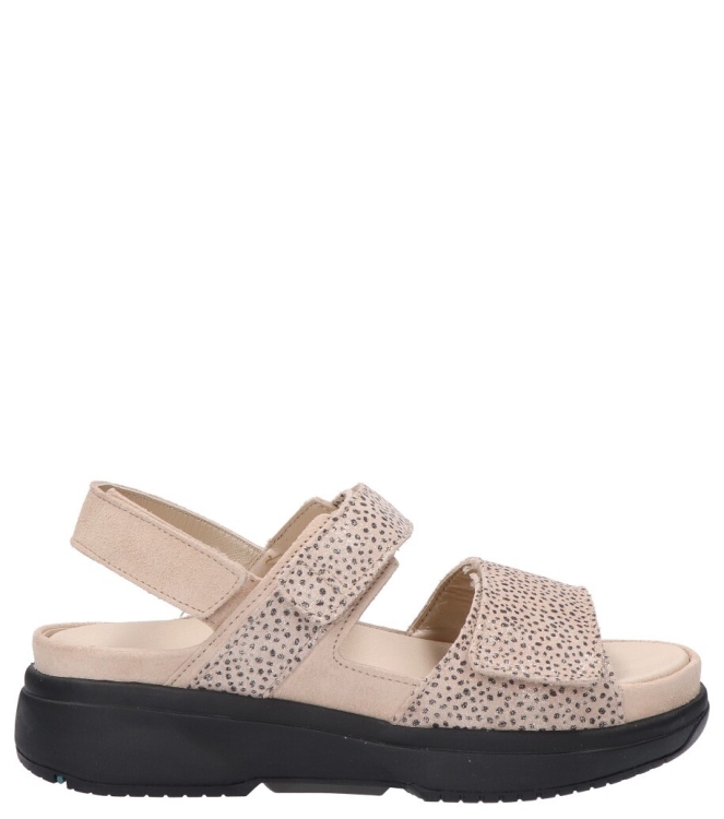 Xsensible Xsensible sandaal <span>30700.5 446 Aruba G-H</span> 446 Sand Fantasy Xsensible sandaal <span>30700.5 446 Aruba G-H</span> 30700.5 446 Aruba G-H beige - www.bremmerschoenen.nl - Bremmer Schoenen