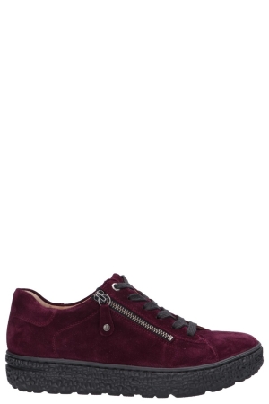 Hartjes 162.1401 86/00 Phil bordeaux 86/00 Aubergine