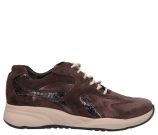 Kleur Bruin