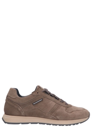 Cycleur de Luxe