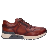 Kleur Cognac
