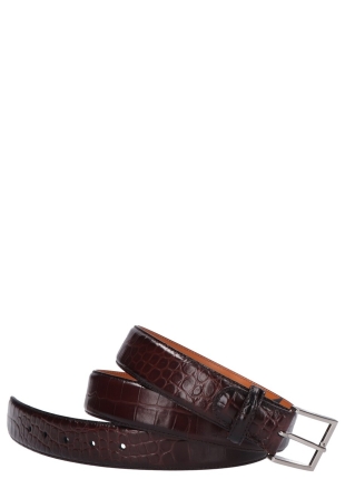 Magnanni