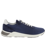 Kleur Blauw