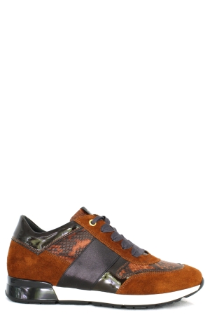 DL-Sport 4439 versione 21 bruin bruin combi