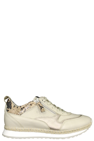 DL-Sport 4628 versione 06 vitello beige beige beige DL-Sport 4628 versione 06 vitello beige beige beige