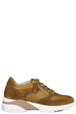 DL-Sport 4638 versione 03 velour cognac cognac cognac