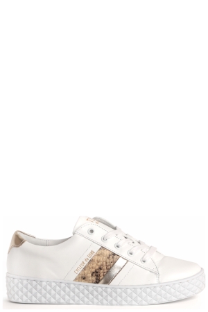 Cycleur de Luxe CDLW201568 Pica wit white gold