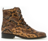 Kleur Cognac