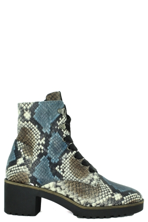 DL-Sport 4536 versione 11 meerkleurig sambernardo 1005 DL-Sport 4536 versione 11 meerkleurig sambernardo 1005