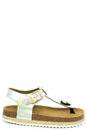 Develab 48054851 zilver SILVER METALLIC